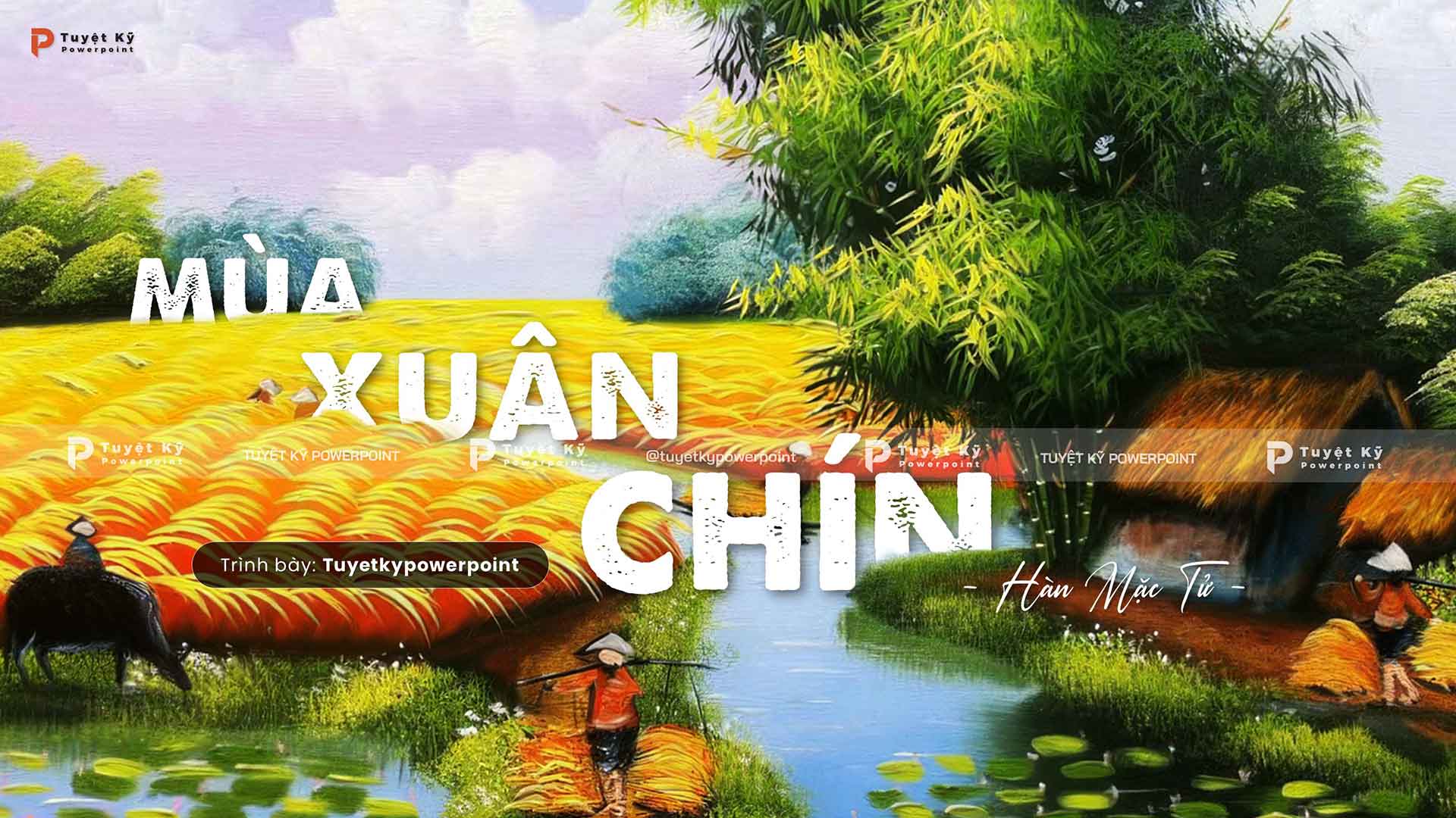 mùa xuân chín