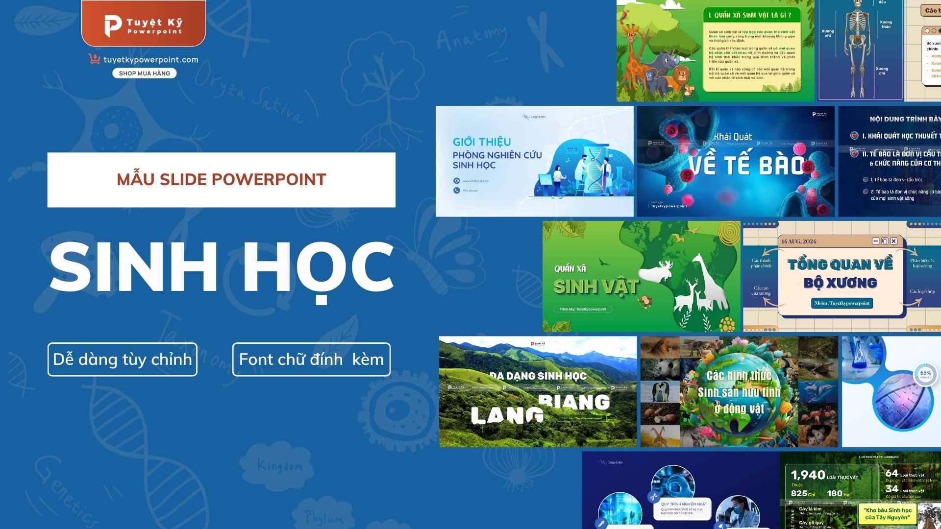 slide sinh học slide sinh học