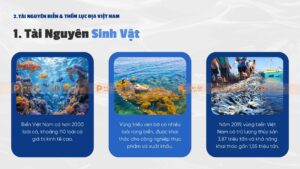 tài nguyên sinh vật biển
