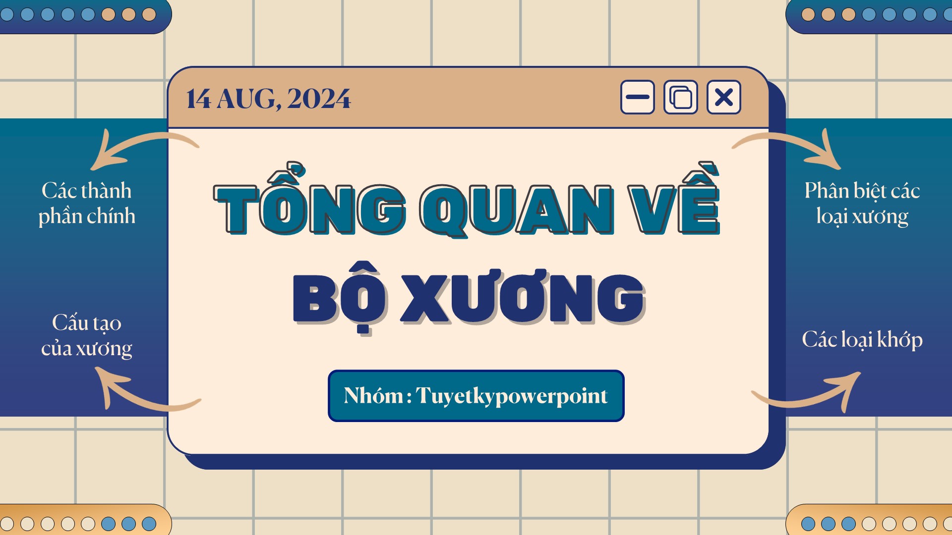 tổng quan về bộ xương tổng quan về bộ xương