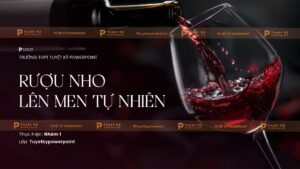 giới thiệu rượu nho lên men tự nhiên