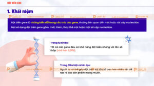 khái niệm đột biến gene