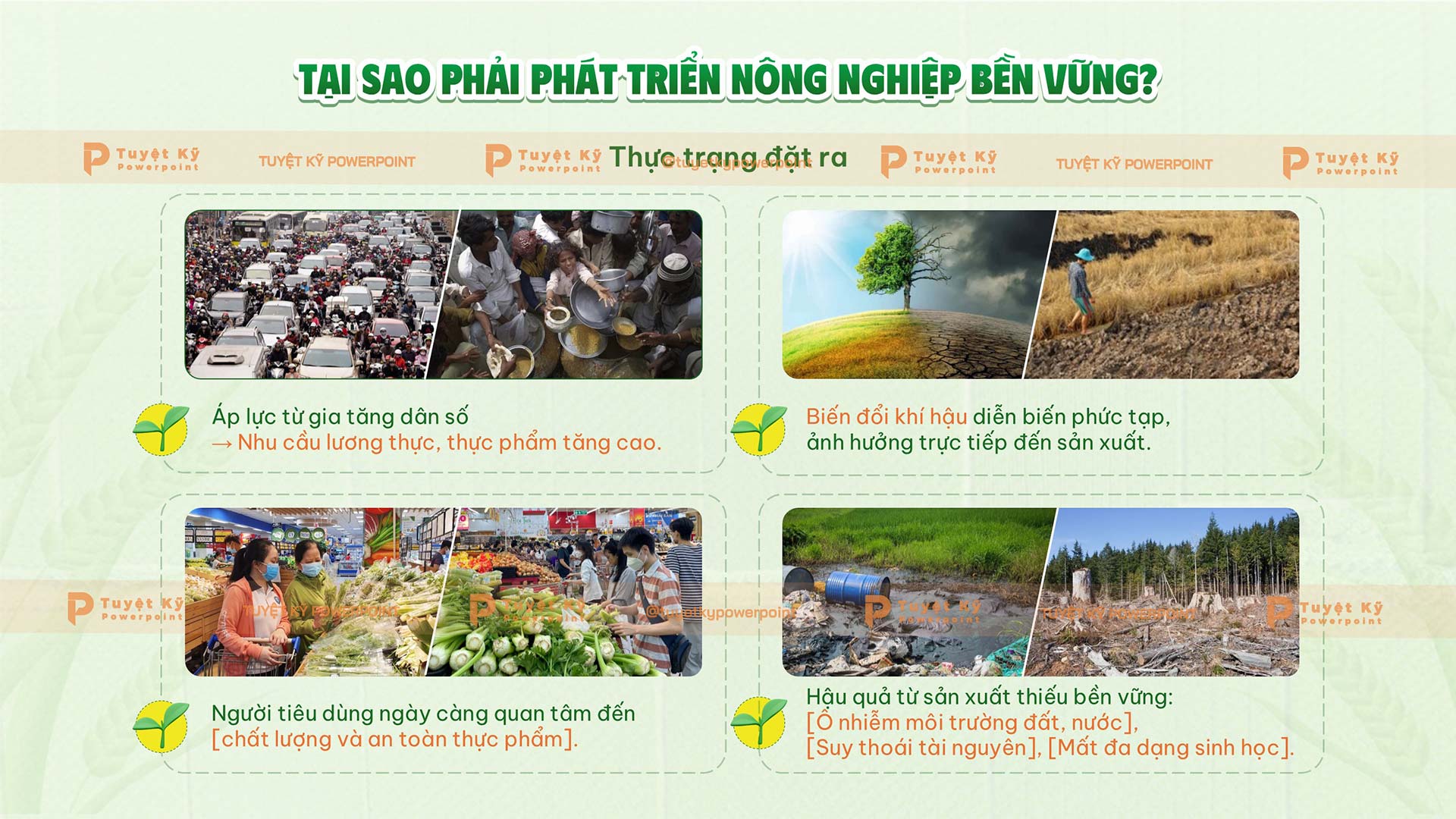 phát triển nông nghiệp bền vững