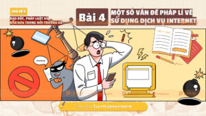 một số vấn đề pháp lý về sử dụng internet