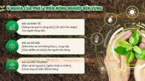 ý nghĩa của phát triển nông nghiệp bền vững
