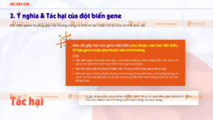 ý nghĩa và tác hại của đột biến gene