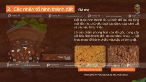 các nhân tố hình thành đất
