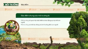 đặc điểm chung của môi trường
