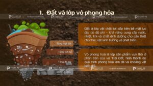 đất và lớp vỏ phong hóa