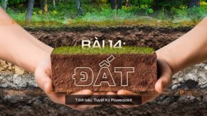 địa lí 10 bài đất