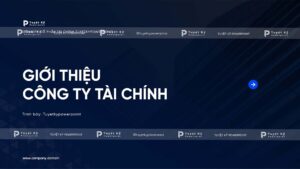 giới thiệu công ty tài chính