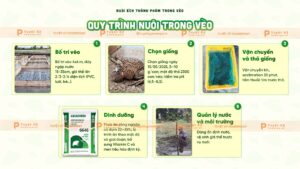 quy trình nuôi ếch trong vèo