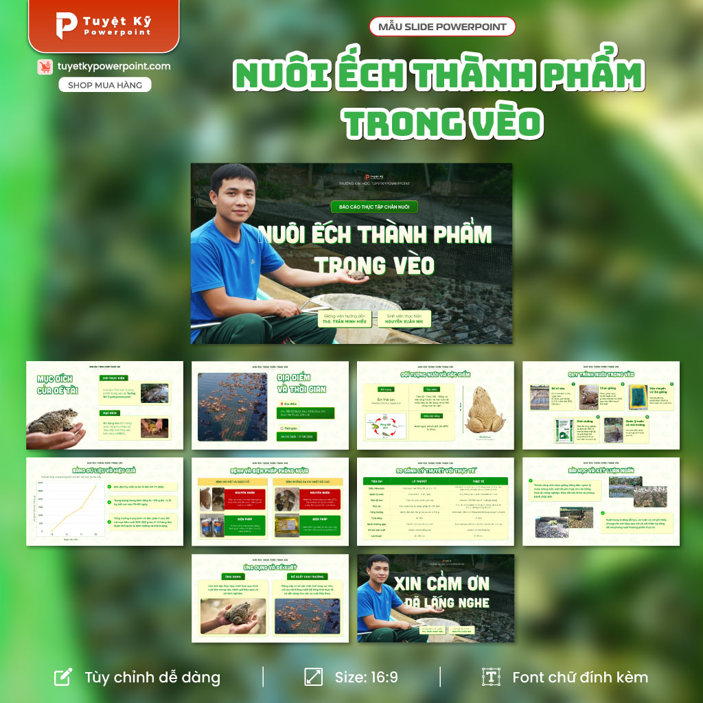 báo cáo thực tập nuôi ếch trong vèo