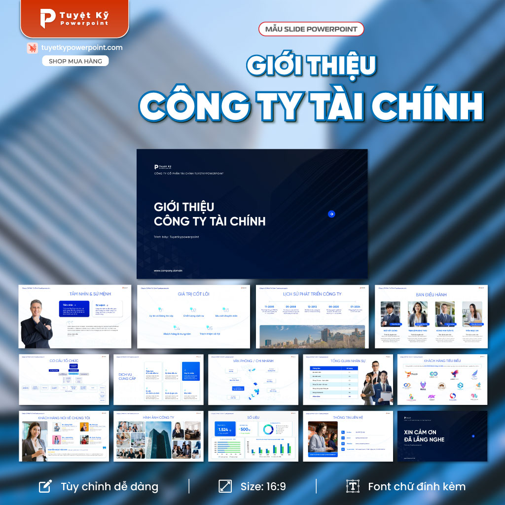 giới thiệu công ty tài chính