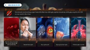 bảo vệ hệ hô hấp