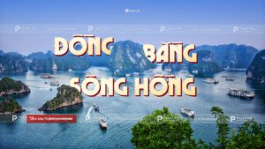 đồng bằng sông hồng
