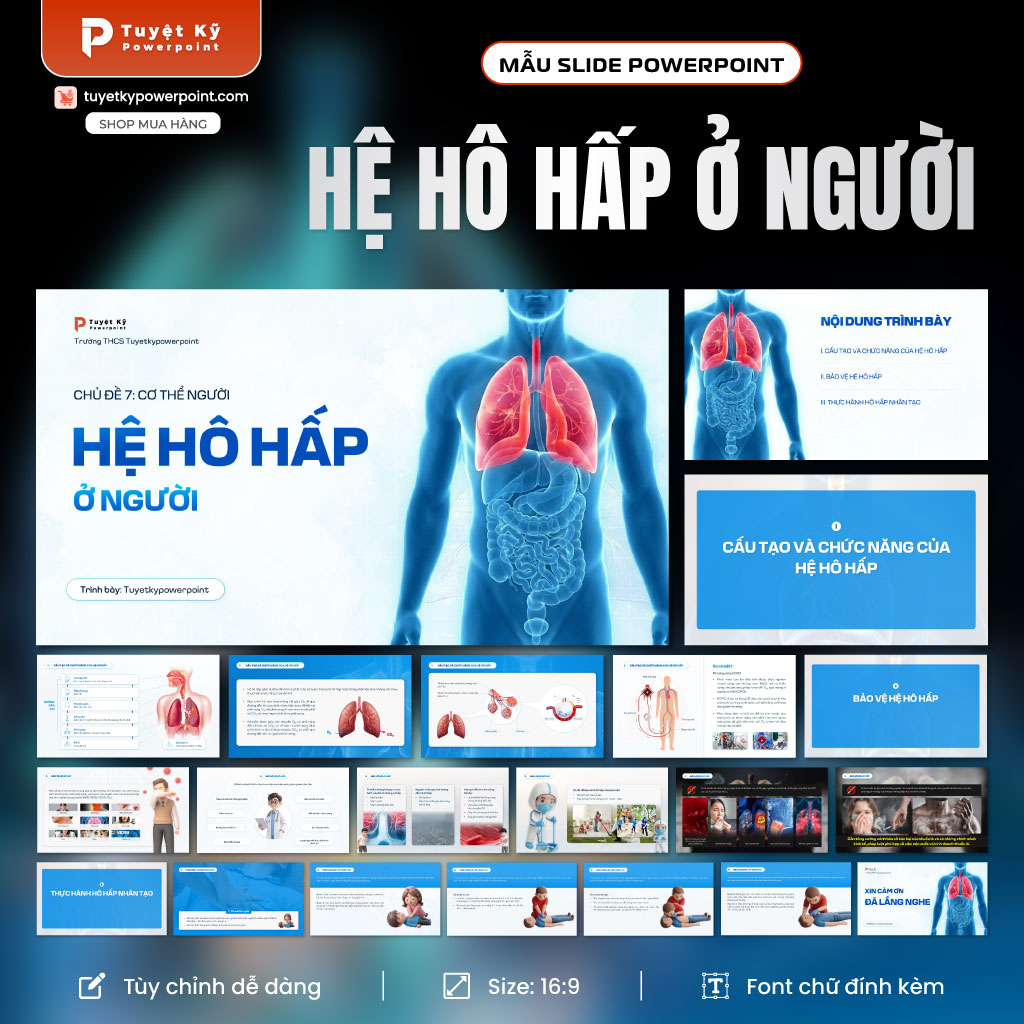 hệ hô hấp ở người