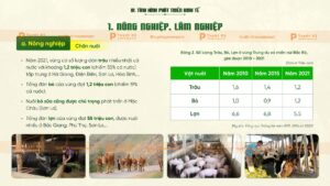 tình hình phát triển kinh tế của trung du miền núi bắc bộ