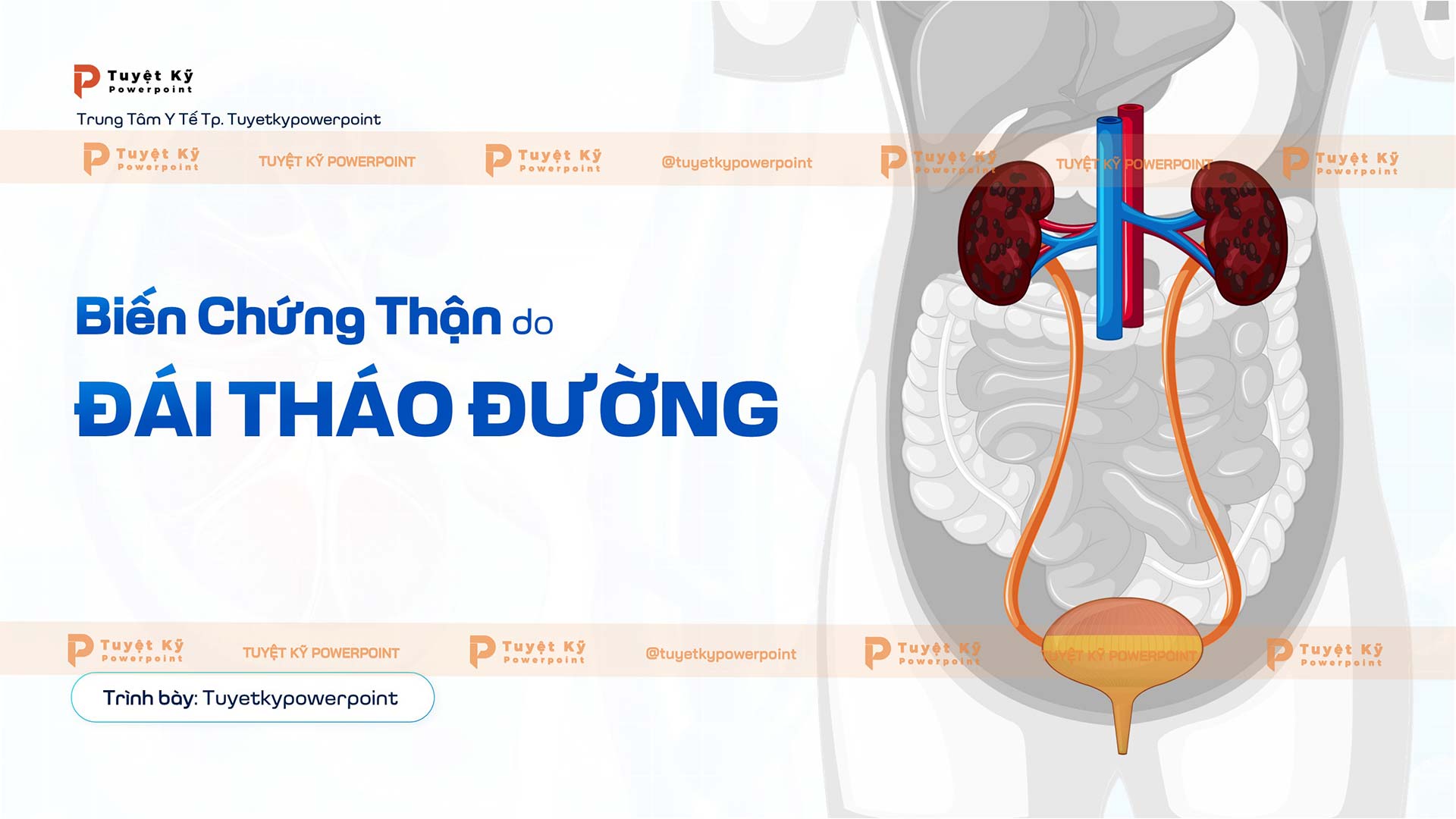 Mẫu slide biến chứng thận do đái tháo đường