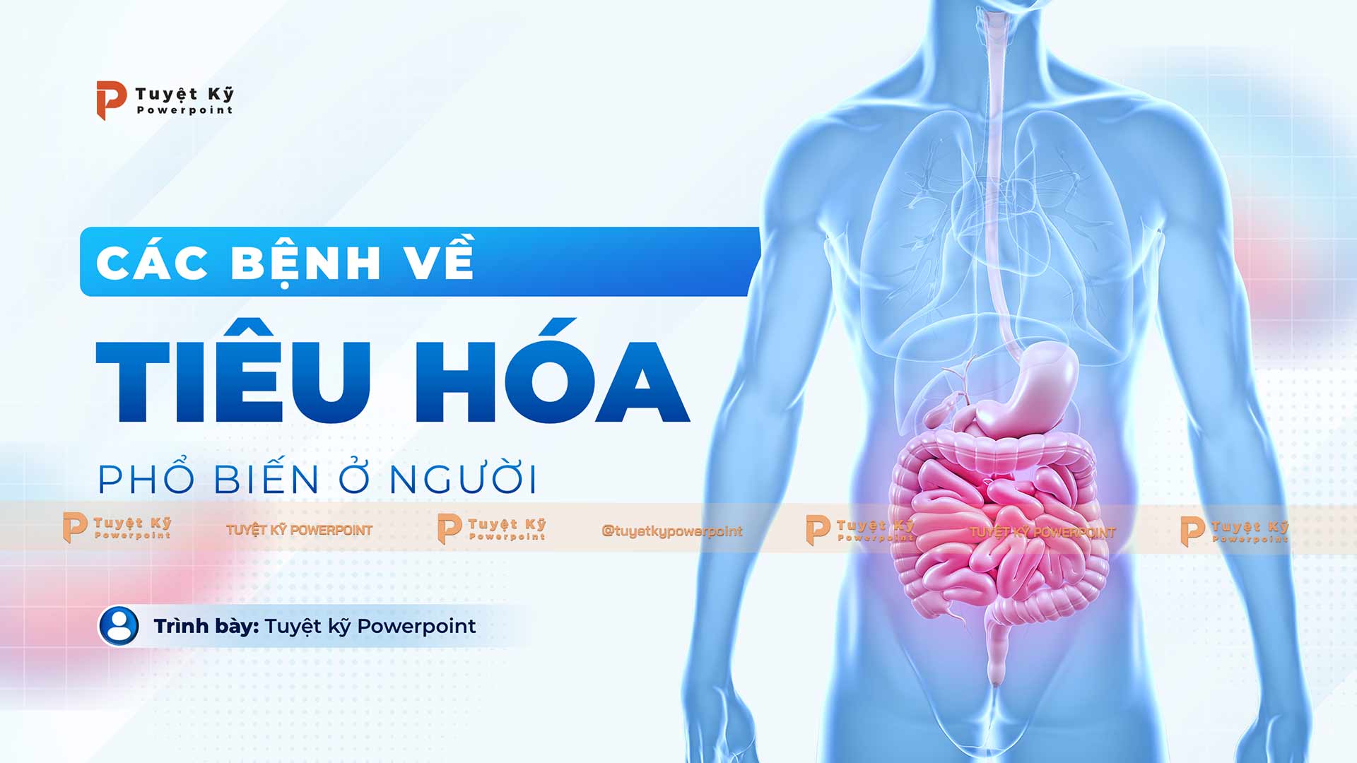 Mẫu slide hệ tiêu hóa