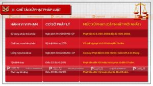 chế tài xử phạt vi phạm pháp luật