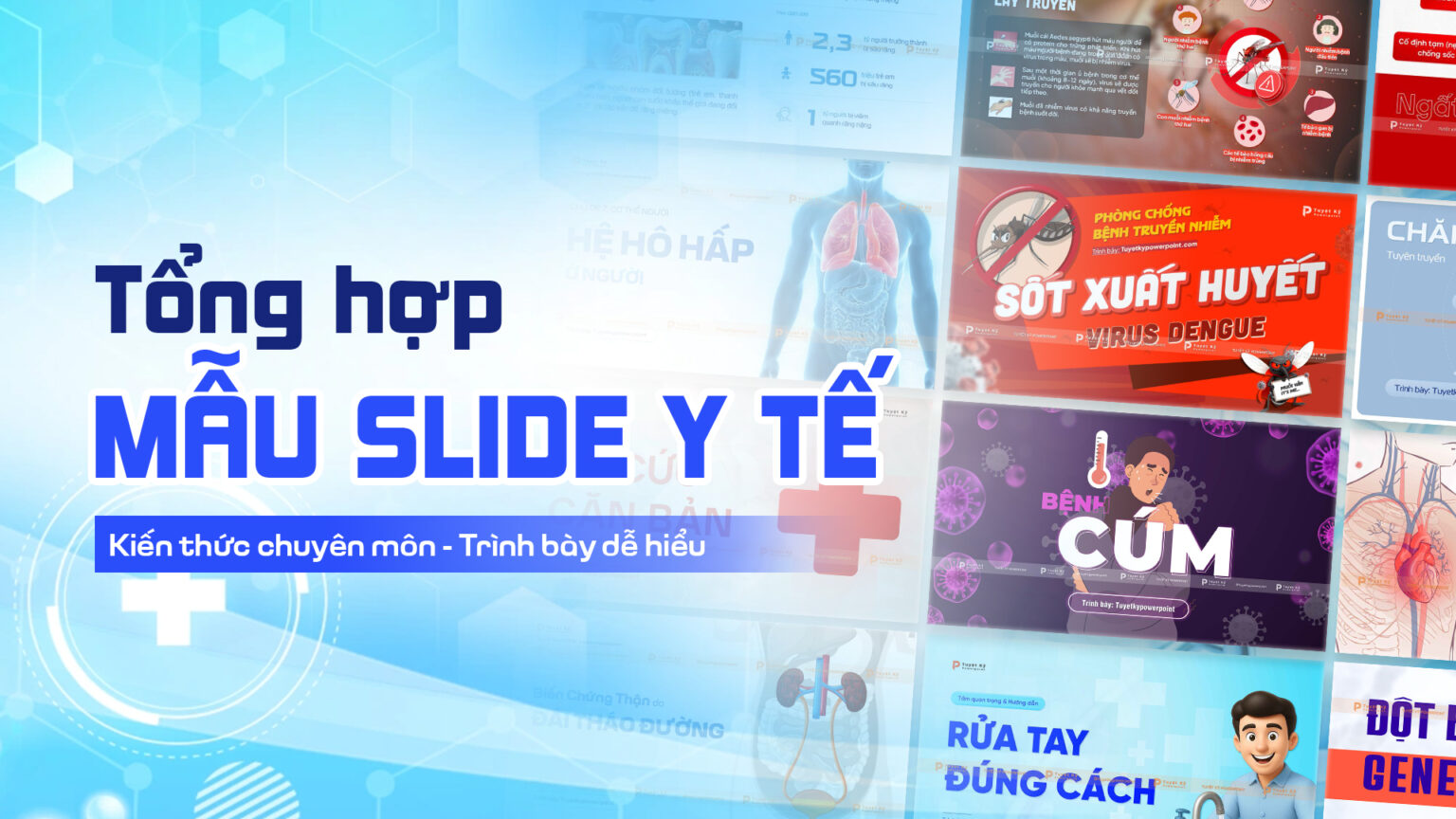 Tổng hợp Mẫu Slide PowerPoint Y Tế - Kiến thức chuyên môn, dễ hiểu ...