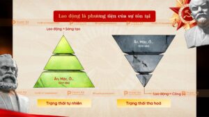 triết học mác lênin về con người lao động là phương tiện của sự tồn tại