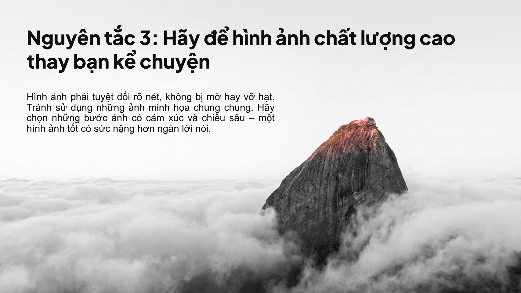 Sử dụng hình ảnh chất lượng cao để kể chuyện