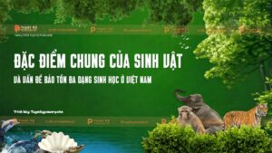 bài 10 địa lí 8 bảo vệ đa dạng sinh học ở việt nam