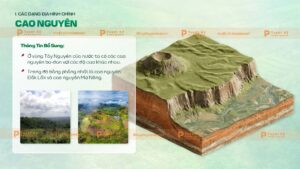 các dạng địa hình chính cao nguyên