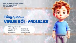 tổng quan về Virus sởi measles