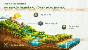 vấn đề bảo tồn đa dạng sinh học ở việt nam