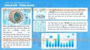 tổng quan về Virus sởi measles