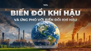 biến đổi khí hậu