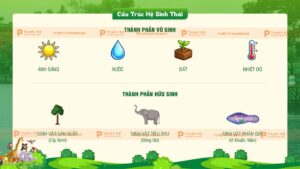 cấu trúc hệ sinh thái nhân tạo hồ xuân hương đắk lắk