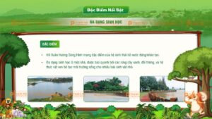 đặc điểm nổi bật hệ sinh thái nhân tạo hồ xuân hương đắk lắk