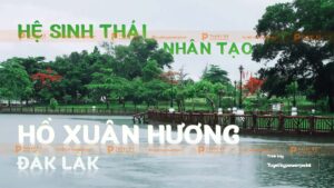 hệ sinh thái nhân tạo hồ xuân hương đắk lắk