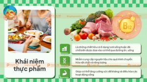 khái niệm thực phẩm