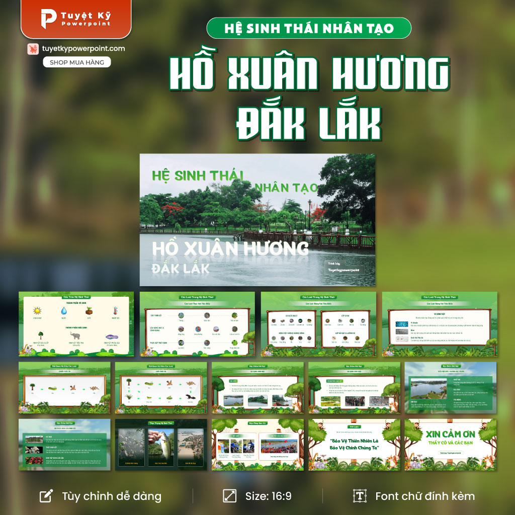 hệ sinh thái nhân tạo hồ xuân hương đắk lắk