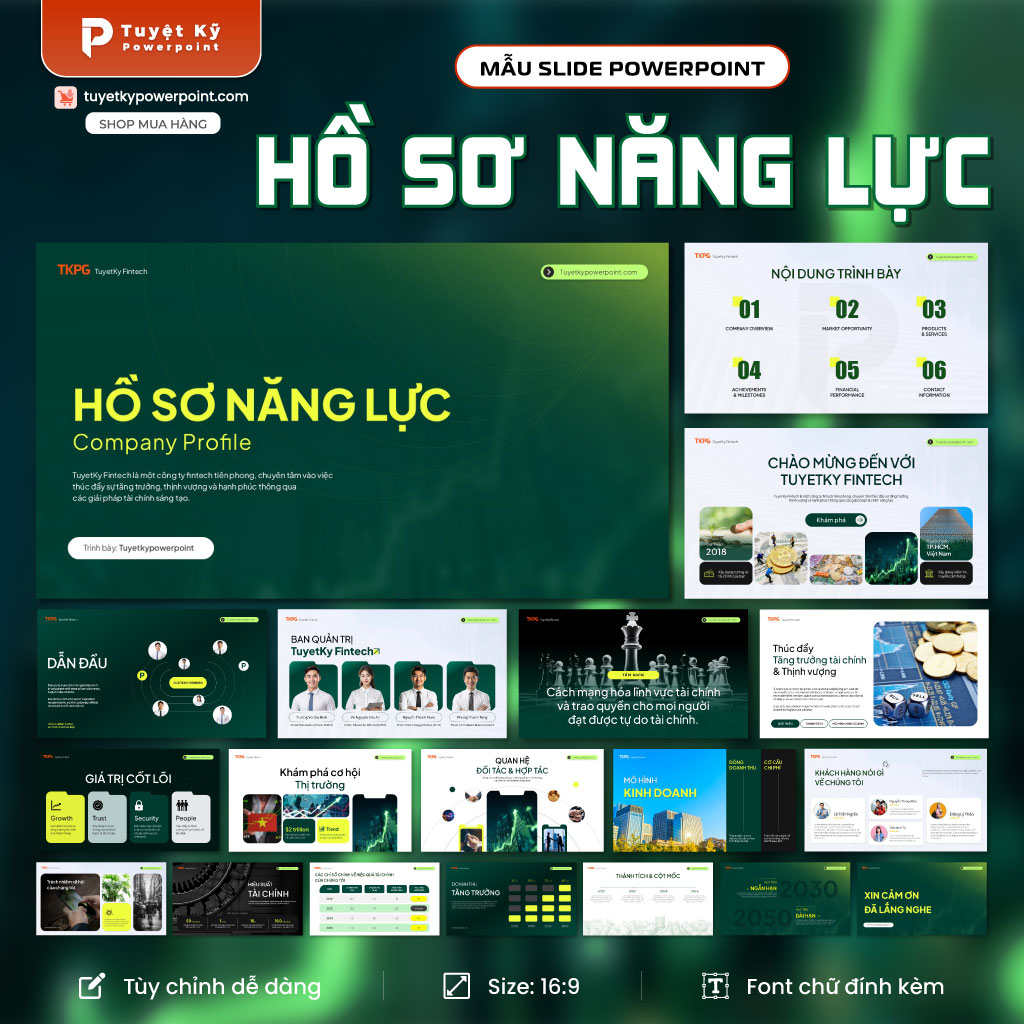 hồ sơ năng lực của công ty