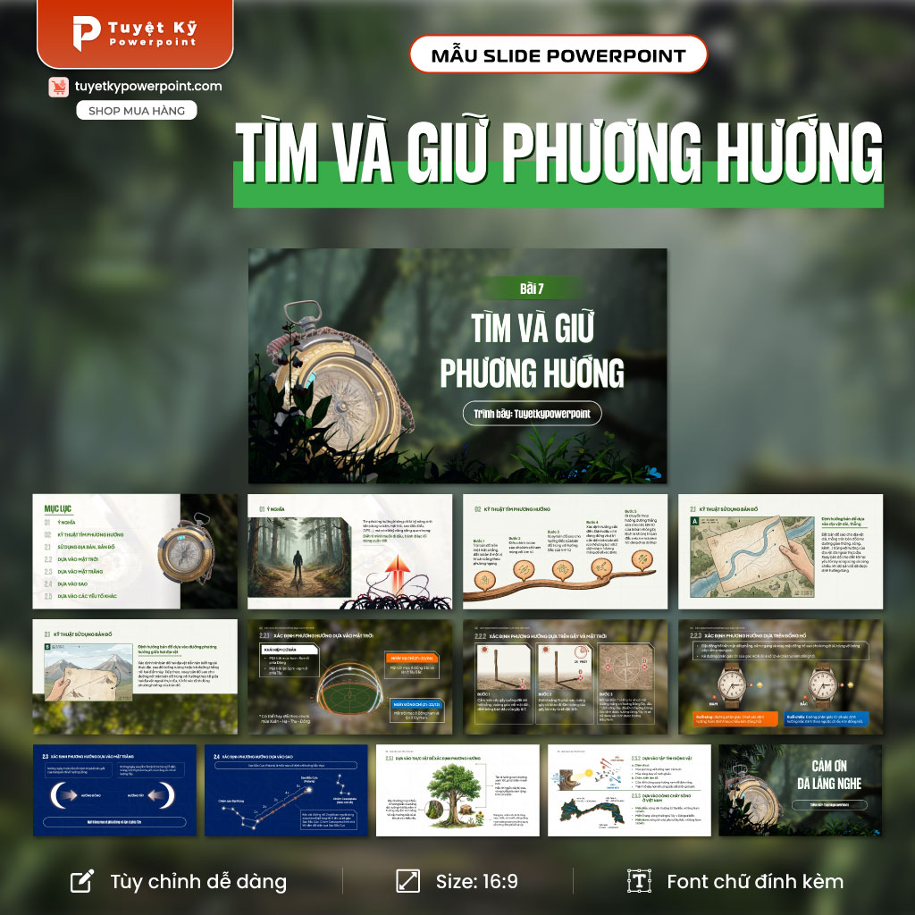 tìm và giữ phương hướng