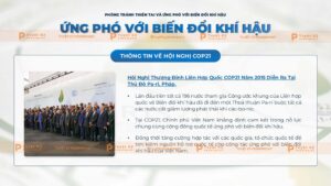 ứng phó biến đổi khí hậu