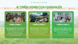 6 triễn vọng trong chăn nuôi