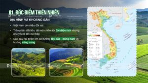 đặc điểm thiên nhiên việt nam