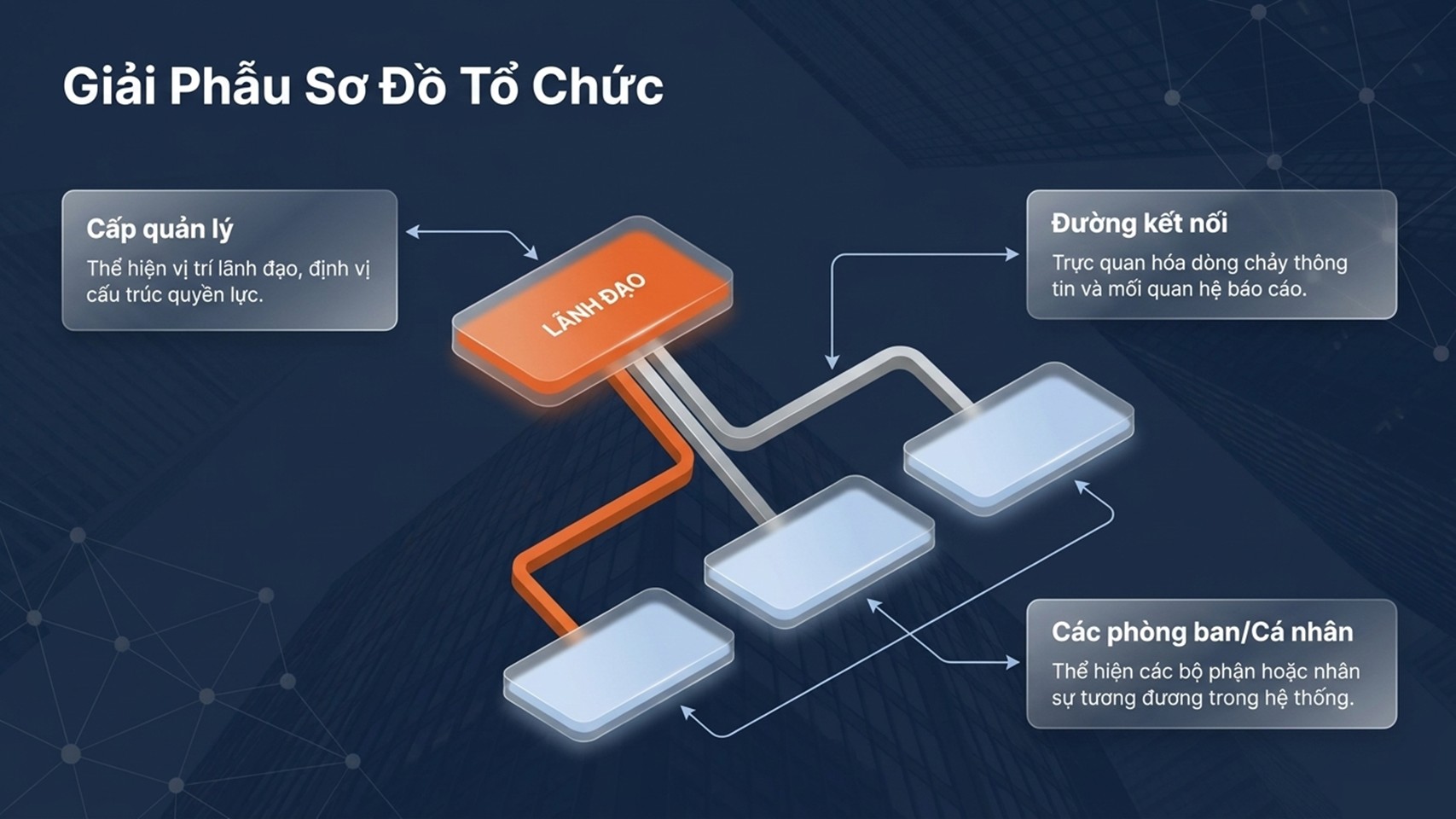Giải phẫu sơ đồ tổ chức