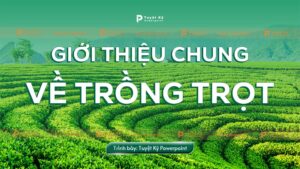 giới thiệu chung về trồng trọt