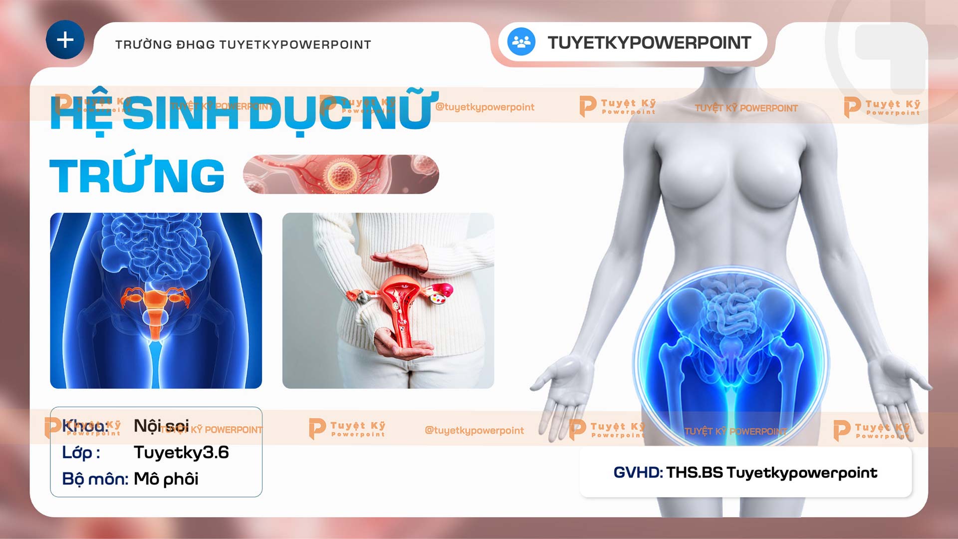 hệ sinh dục nữ