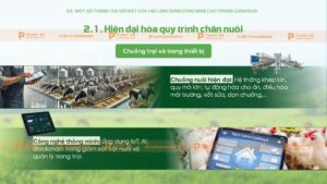 hiện đại hóa quy trình chăn nuôi