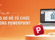 Hướng dẫn tạo sơ đồ tổ chức trong powerpoint