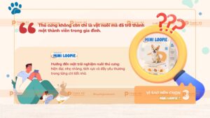 lý do chọn sản phẩm